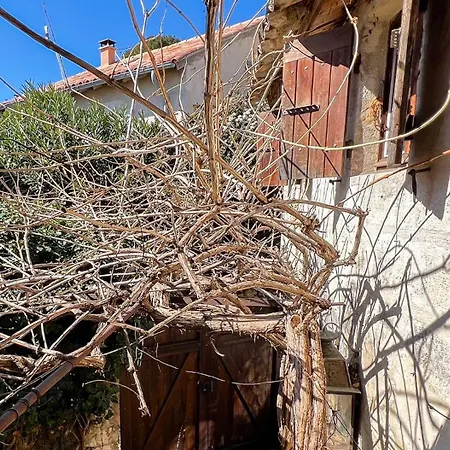 Bucolic Garden - Magical View - The Bohemian Life! Casa vacanze